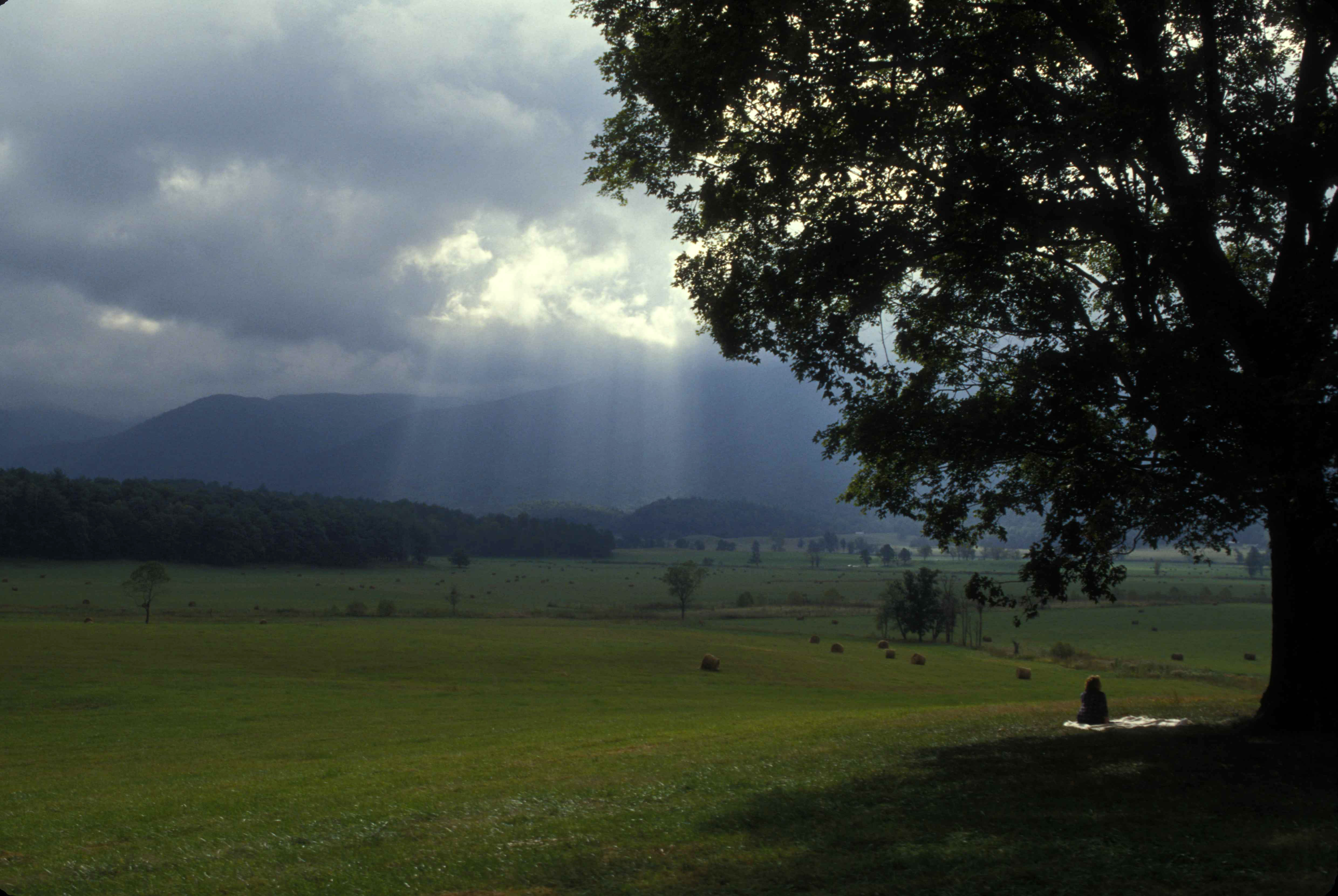 Great Smoky Mountains National Park