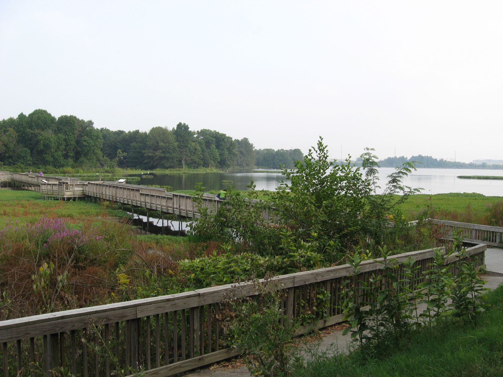 Greater Philadelphia