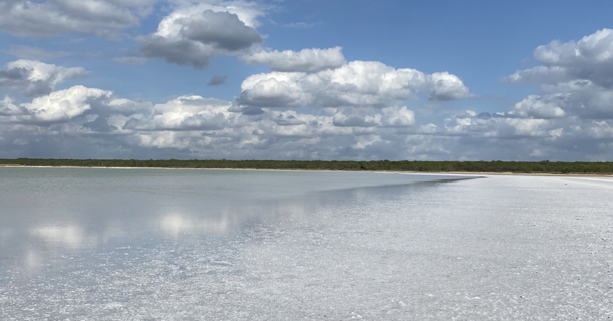 Texas Rio Grande Valley